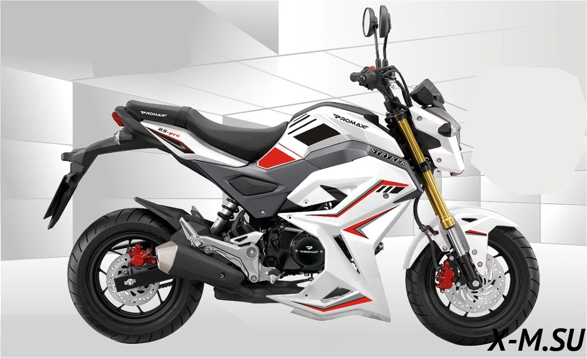 Мотоцикл PROMAX STRYKER 200(49) OFF-ROAD 2.0 Мотоцикл PROMAX STRYKER 200(49) OFF-ROAD 2.0
