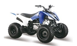 Квадроцикл ATV Pantera 200 CVT