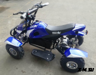 Квадроцикл GreenCamel Гоби K22 (36V 500W R4 Цепь)