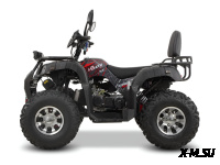 Квадроцикл Grizzly 200 Premium