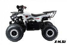 Квадроцикл MOTOLAND (МОТОЛЕНД) 125 STORM A