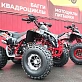 Квадроцикл PROMAX SPAWN 190 (LIMITED EDITION)